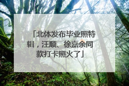 北体发布毕业照特辑，汪顺、徐嘉余同款打卡照火了