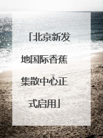 北京新发地国际香蕉集散中心正式启用