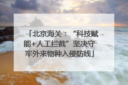 北京海关：“科技赋能+人工拦截”坚决守牢外来物种入侵防线