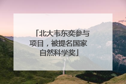 北大韦东奕参与项目，被提名国家自然科学奖