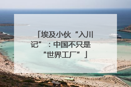 埃及小伙“入川记”：中国不只是“世界工厂”