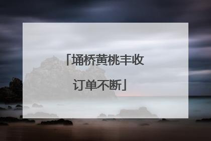 埇桥黄桃丰收 订单不断