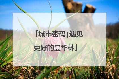 城市密码∣遇见更好的昙华林
