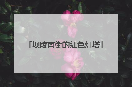 坝陵南街的红色灯塔