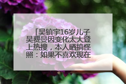吴镇宇16岁儿子吴费曼因变化太大登上热搜，本人晒搞怪照：如果不喜欢现在的我可以离开