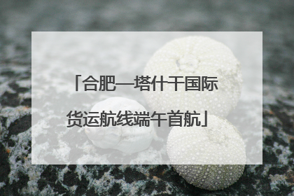 合肥—塔什干国际货运航线端午首航