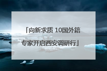 向新求质 10国外籍专家开启西安调研行