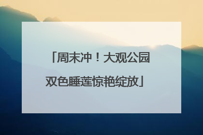 周末冲！大观公园双色睡莲惊艳绽放