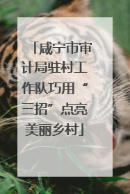 咸宁市审计局驻村工作队巧用“三招”点亮美丽乡村