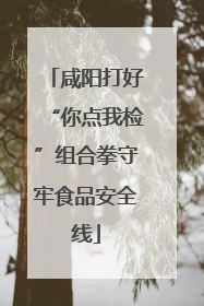 咸阳打好“你点我检”组合拳守牢食品安全线