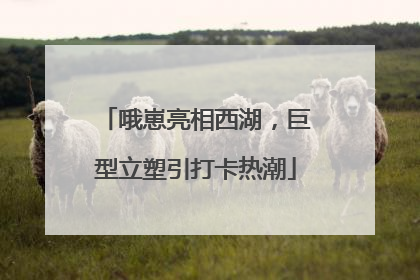 哦崽亮相西湖，巨型立塑引打卡热潮