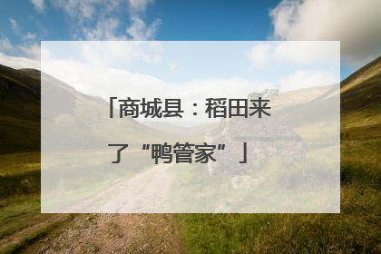 商城县：稻田来了“鸭管家”
