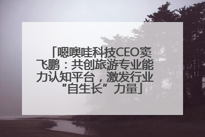 嗯噢哇科技CEO窦飞鹏：共创旅游专业能力认知平台，激发行业“自生长”力量
