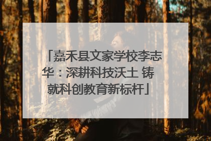 嘉禾县文家学校李志华：深耕科技沃土 铸就科创教育新标杆