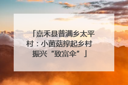 嘉禾县普满乡太平村：小菌菇撑起乡村振兴“致富伞”
