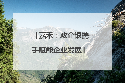 嘉禾：政企银携手赋能企业发展
