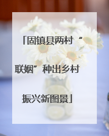 固镇县两村“联姻”种出乡村振兴新图景