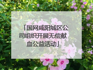 国网咸阳城区公司组织开展无偿献血公益活动