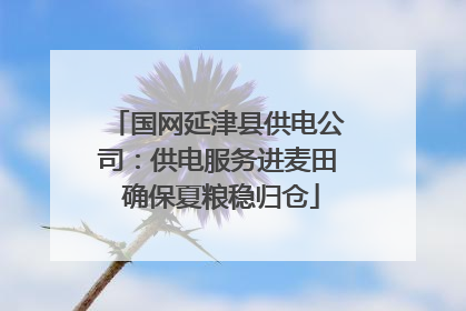 国网延津县供电公司：供电服务进麦田 确保夏粮稳归仓