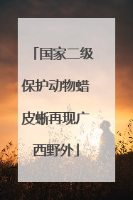 国家二级保护动物蜡皮蜥再现广西野外
