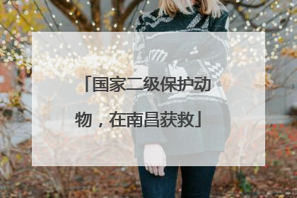 国家二级保护动物，在南昌获救