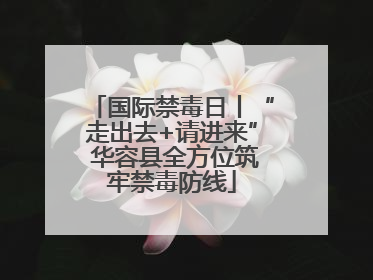 国际禁毒日丨“走出去+请进来” 华容县全方位筑牢禁毒防线