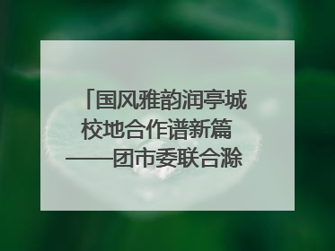 国风雅韵润亭城 校地合作谱新篇——团市委联合滁州城市职业学院助力传统文化“破圈”绽放