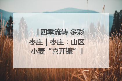 四季流转 多彩枣庄｜枣庄：山区小麦“喜开镰”