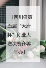 四川省第五届“天府杯”创业大赛决赛在蓉举办