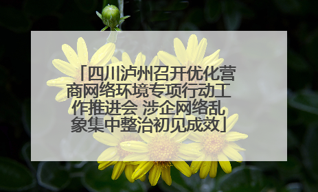 四川泸州召开优化营商网络环境专项行动工作推进会 涉企网络乱象集中整治初见成效