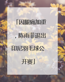 因腿痛加重，陈雨菲退出印尼羽毛球公开赛