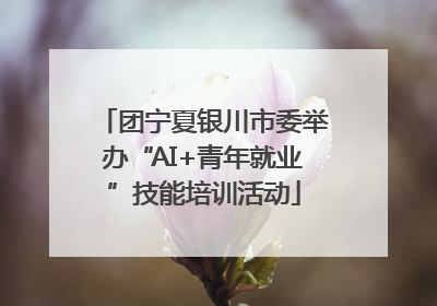 团宁夏银川市委举办“AI+青年就业”技能培训活动