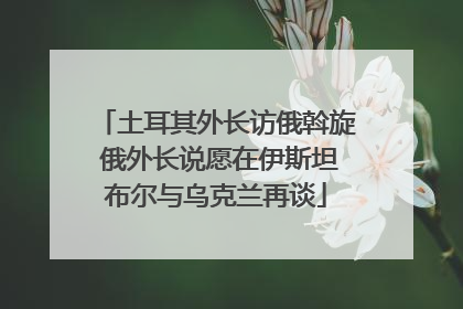 土耳其外长访俄斡旋 俄外长说愿在伊斯坦布尔与乌克兰再谈