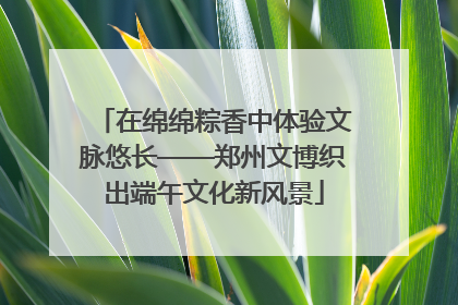 在绵绵粽香中体验文脉悠长——郑州文博织出端午文化新风景