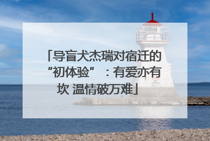 导盲犬杰瑞对宿迁的“初体验”：有爱亦有坎 温情破万难
