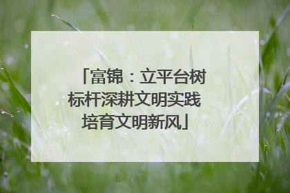 富锦：立平台树标杆深耕文明实践培育文明新风