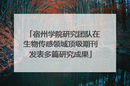 宿州学院研究团队在生物传感领域顶级期刊发表多篇研究成果