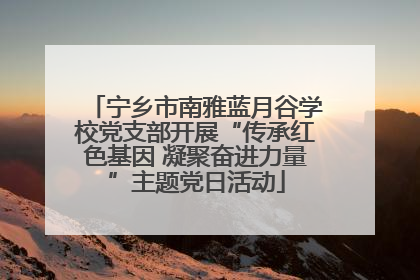 宁乡市南雅蓝月谷学校党支部开展“传承红色基因 凝聚奋进力量”主题党日活动
