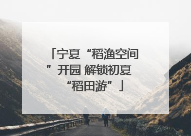 宁夏“稻渔空间”开园 解锁初夏“稻田游”
