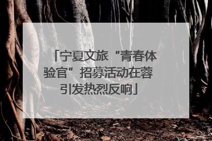 宁夏文旅“青春体验官”招募活动在蓉引发热烈反响