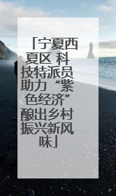 宁夏西夏区 科技特派员助力“紫色经济”酿出乡村振兴新风味