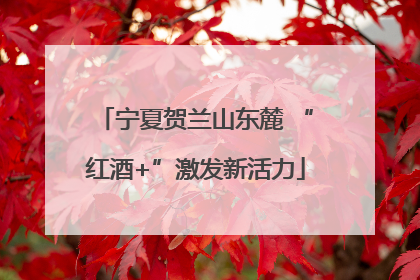 宁夏贺兰山东麓 “红酒+”激发新活力