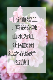 宁夏贺兰：互嵌交融 山水为证 让民族团结之花绚烂绽放