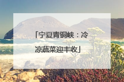 宁夏青铜峡：冷凉蔬菜迎丰收