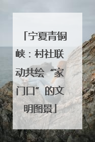 宁夏青铜峡：村社联动共绘“家门口”的文明图景