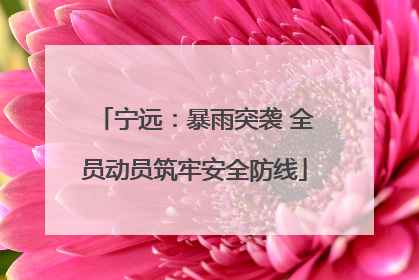 宁远：暴雨突袭 全员动员筑牢安全防线