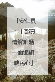 安仁县：干部真情解难题一面锦旗映民心