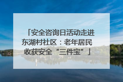 安全咨询日活动走进东湖村社区：老年居民收获安全“三件宝”