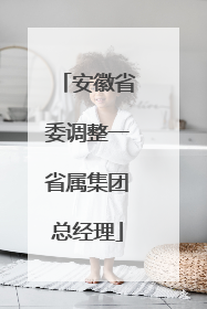 安徽省委调整一省属集团总经理