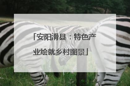 安阳滑县：特色产业绘就乡村图景